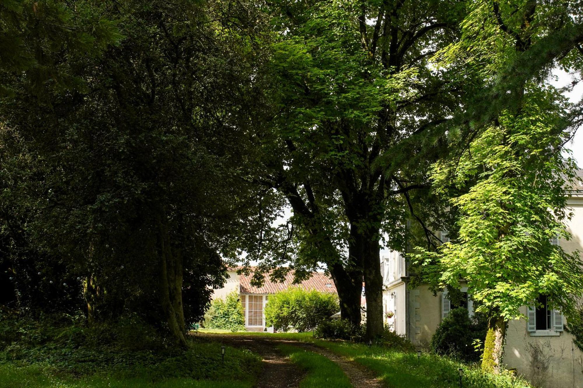 Chateau De Gouyas *